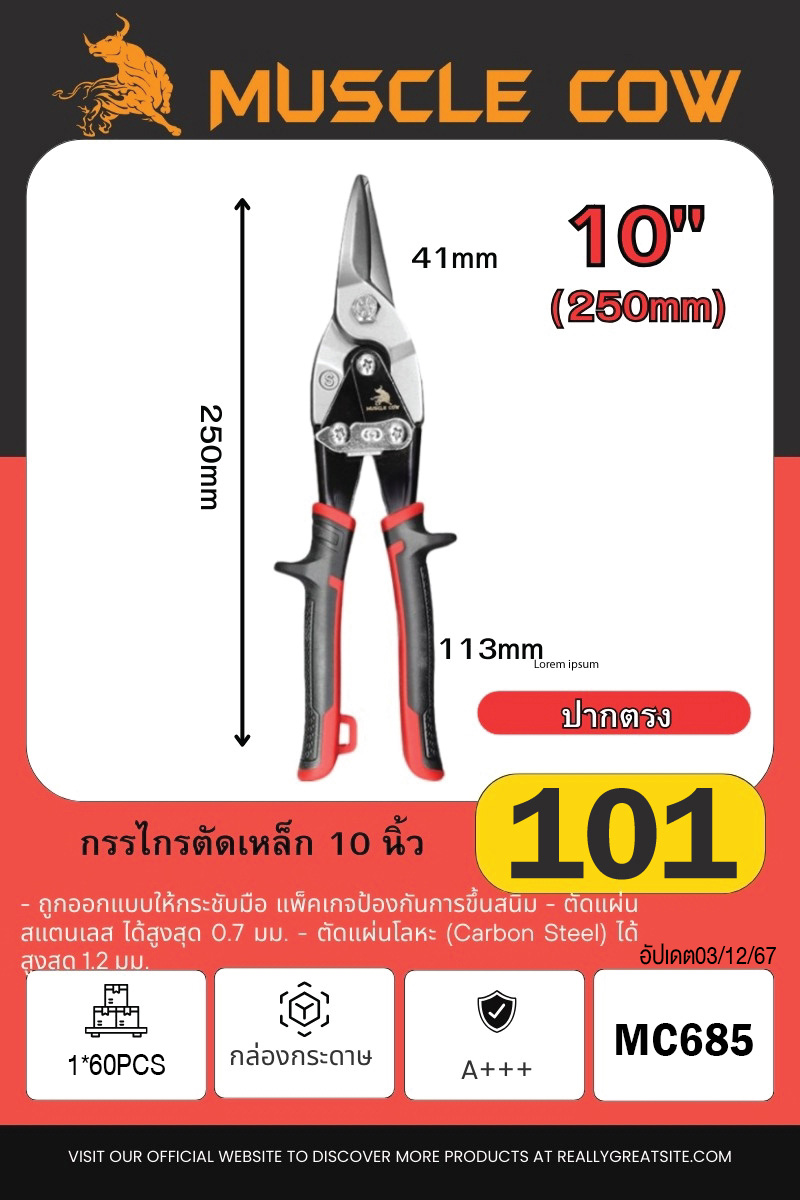 กรรไกรตัดเหล็ก 10 นิ้ว 1*60PCS