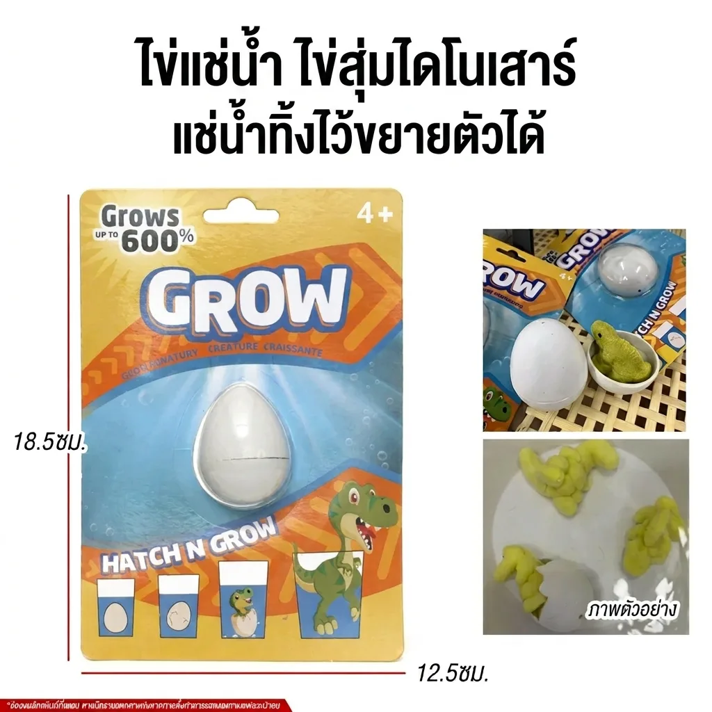 ไข่แช่น้ำ HT จุลังละ 300 ชิ้น